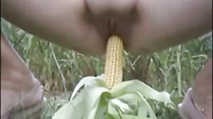 உடைந்தது