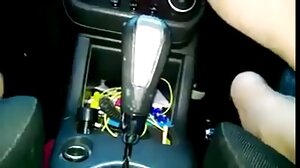 படகோட்டி விழுங்க