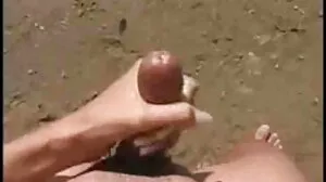 சிறிய கருங்காலி டீன்